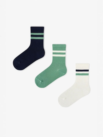Penti Socken 'PENTI Jungen Greeny gestreifte Paar Socken'‌‌‌‌ in Mischfarben: Vorderseite