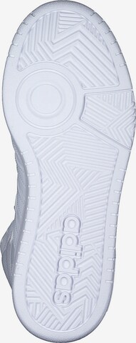 ADIDAS SPORTSWEAR High-Top Sneakers 'Hoops 3.0' in White