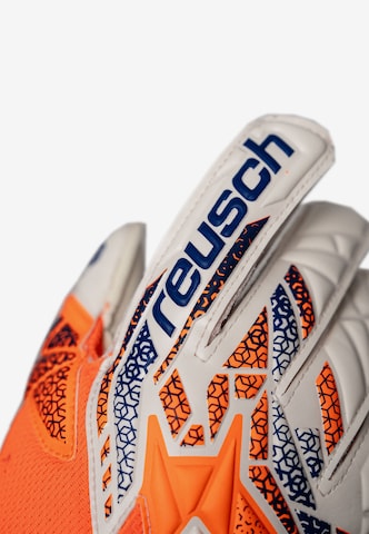 REUSCH Sporthandschoenen 'ATTRAKT SILVER JUNIOR' in Blauw | ABOUT YOU REUSCH Sporthandschoenen 'ATTRAKT SILVER JUNIOR' in Blauw | ABOUT YOU