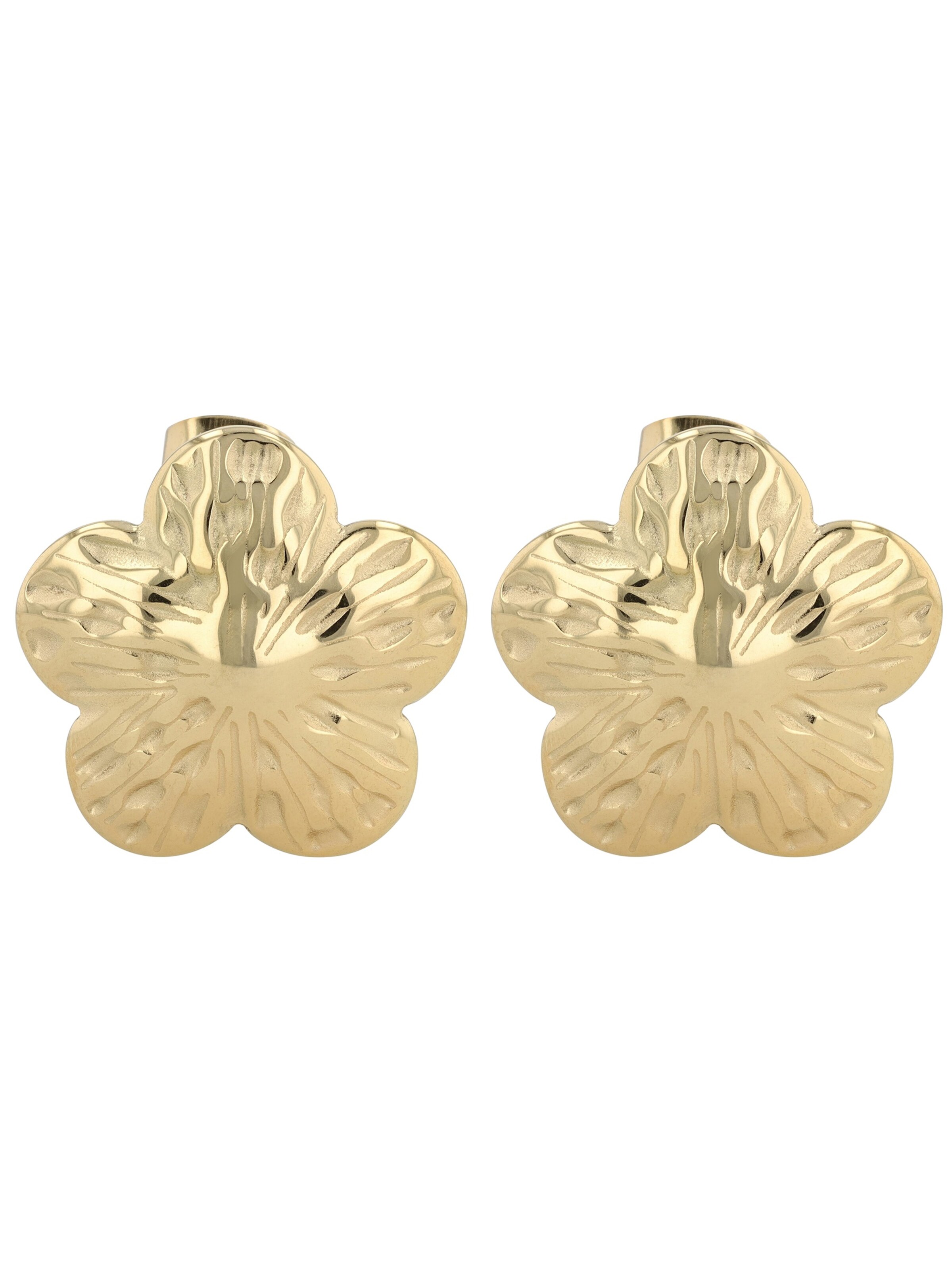 Akzent Earrings 'langlebig' in Gold: front