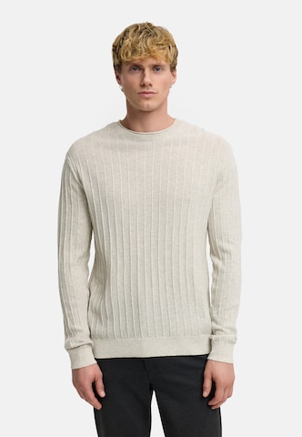 Pull-over 'Alonzo' Kronstadt en beige : devant