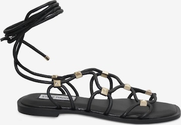 STEVE MADDEN - Sandália 'ZAPPY' em preto: frente