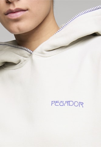 Pegador Sweatshirt 'Sigtuna' in Grijs