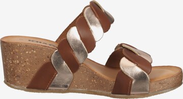 IGI&CO Mules in Brown