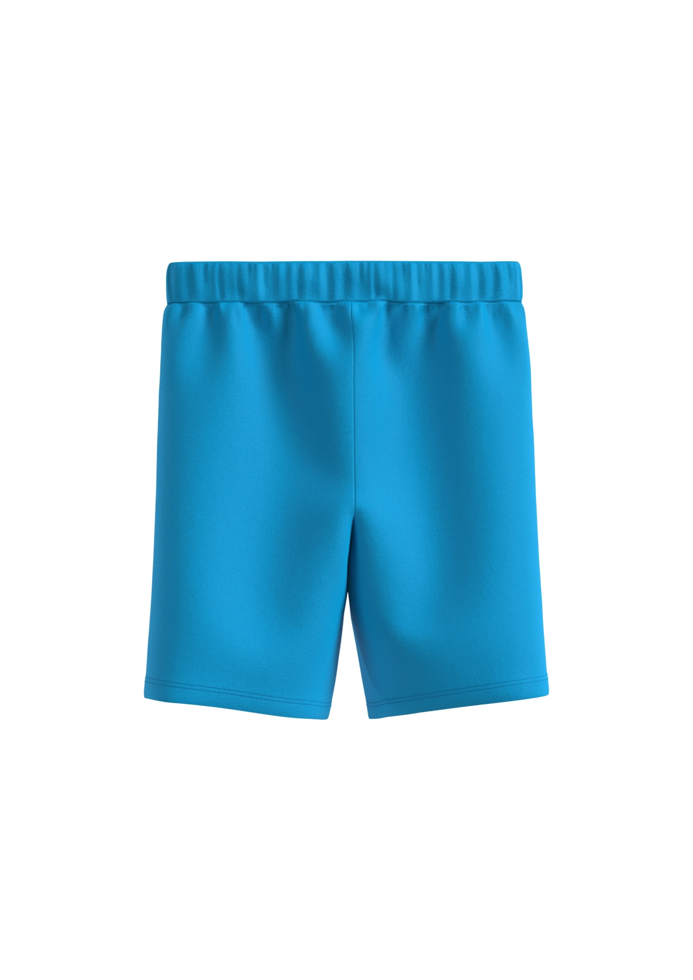 s.Oliver Regular Pants in Blue