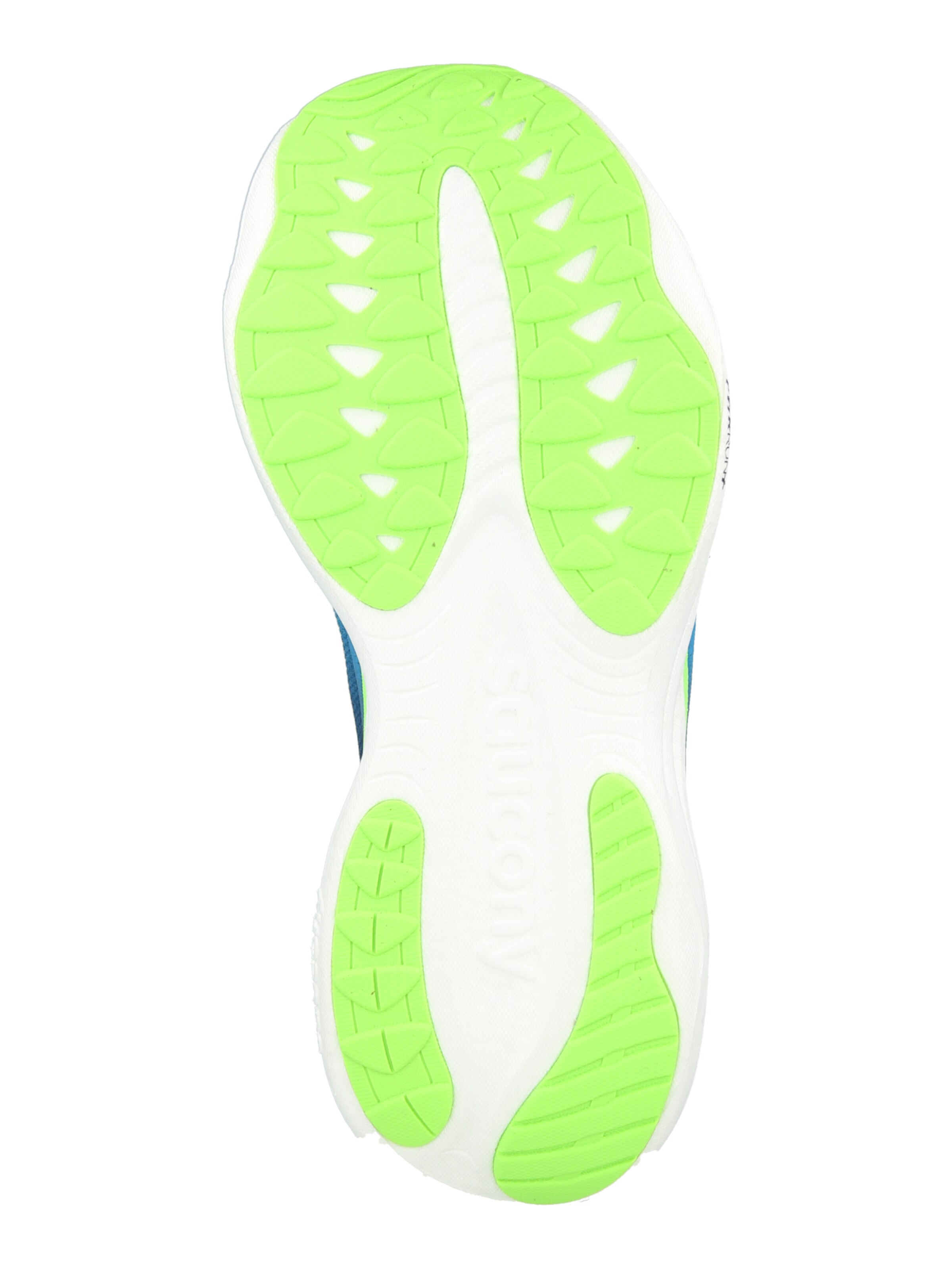 saucony Běžecká obuv 'RIDE 19' – modrá