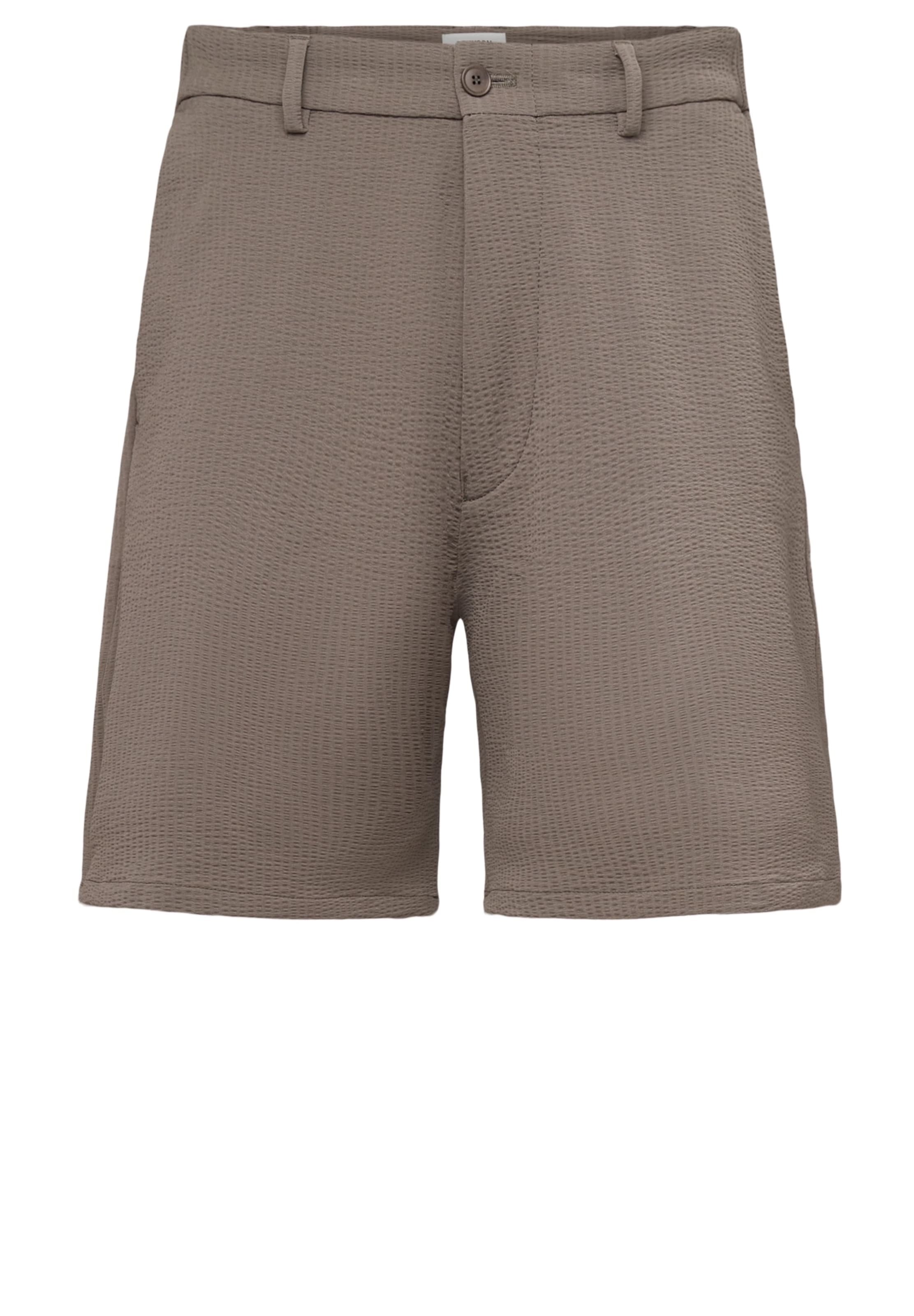 DRYKORN Regular Chino Pants 'Yasan' in Brown: front