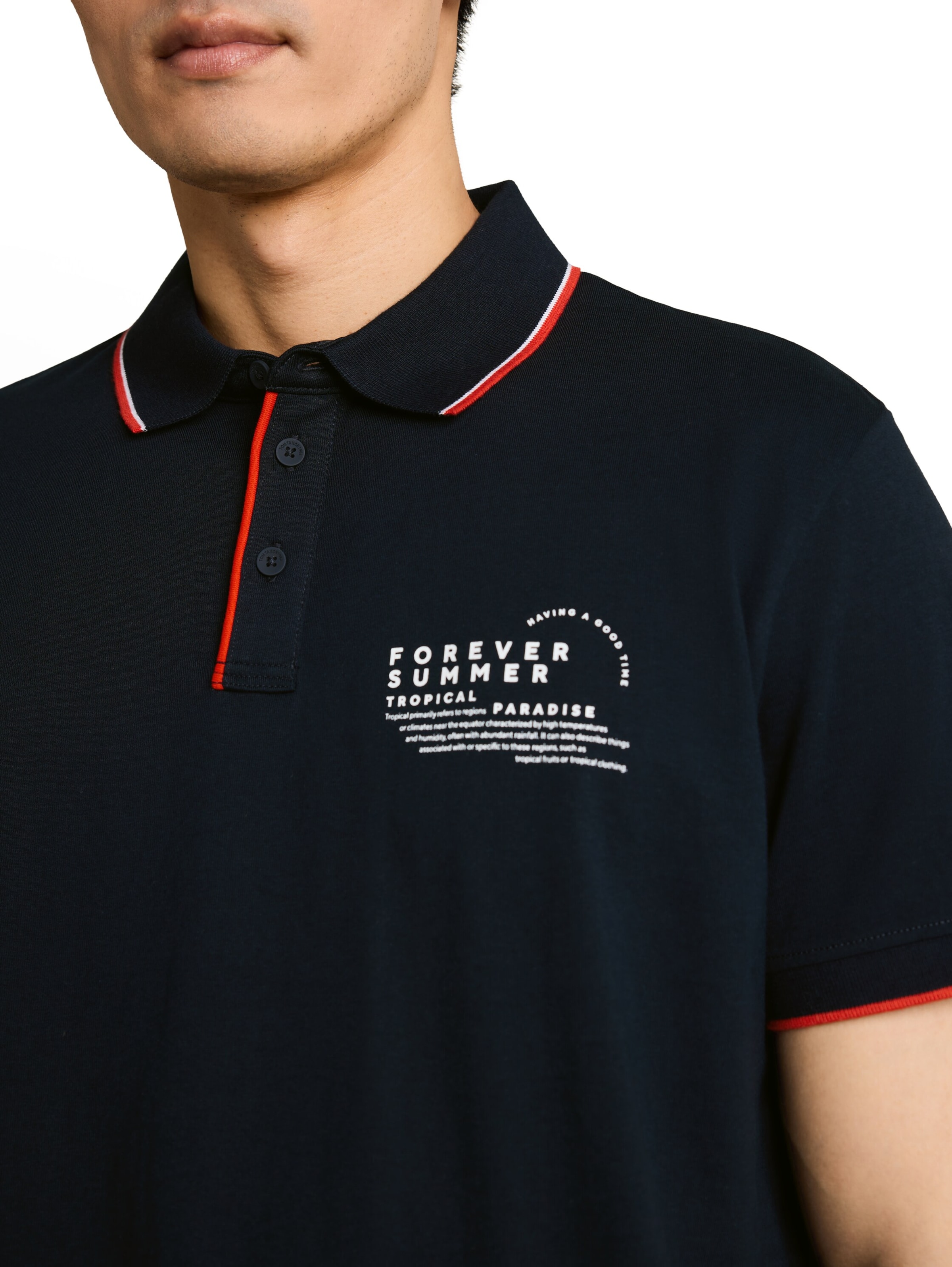 TOM TAILOR Bluser & t-shirts i blå