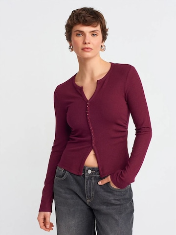Dilvin Shirt in Rot: Vorderseite