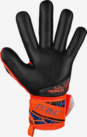 REUSCH Athletic Gloves 'Attrakt Infinity NC' in Orange