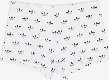 ADIDAS ORIGINALS Boyshorts ' Girl Short Adicolor Comfort Flex Cotton ' in White: front