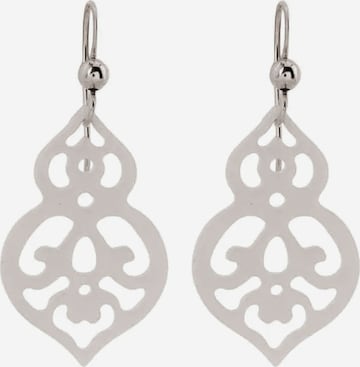 Gemshine Earrings in Silver: front