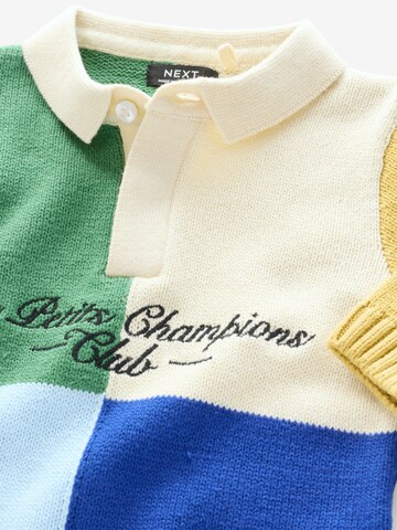 Next Shirt in Mischfarben