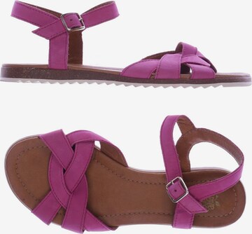 Apple of Eden Sandals & High-Heeled Sandals in 38 in Pink: front