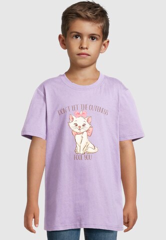 ABSOLUTE CULT T-Shirt in Lila: Vorderseite
