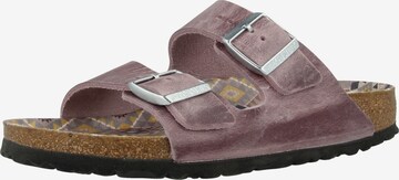 BIRKENSTOCK Pantolette 'Arizona' in Lila: predná strana