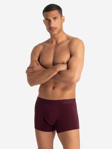 Bruno Banani Boxer shorts 'Flowing' in Red: front