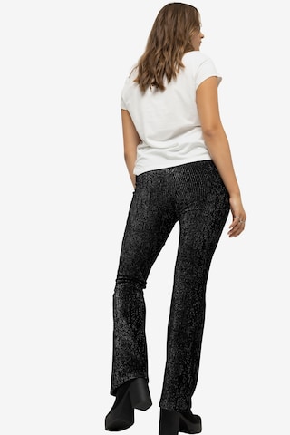 Studio Untold Flared Pants in Black