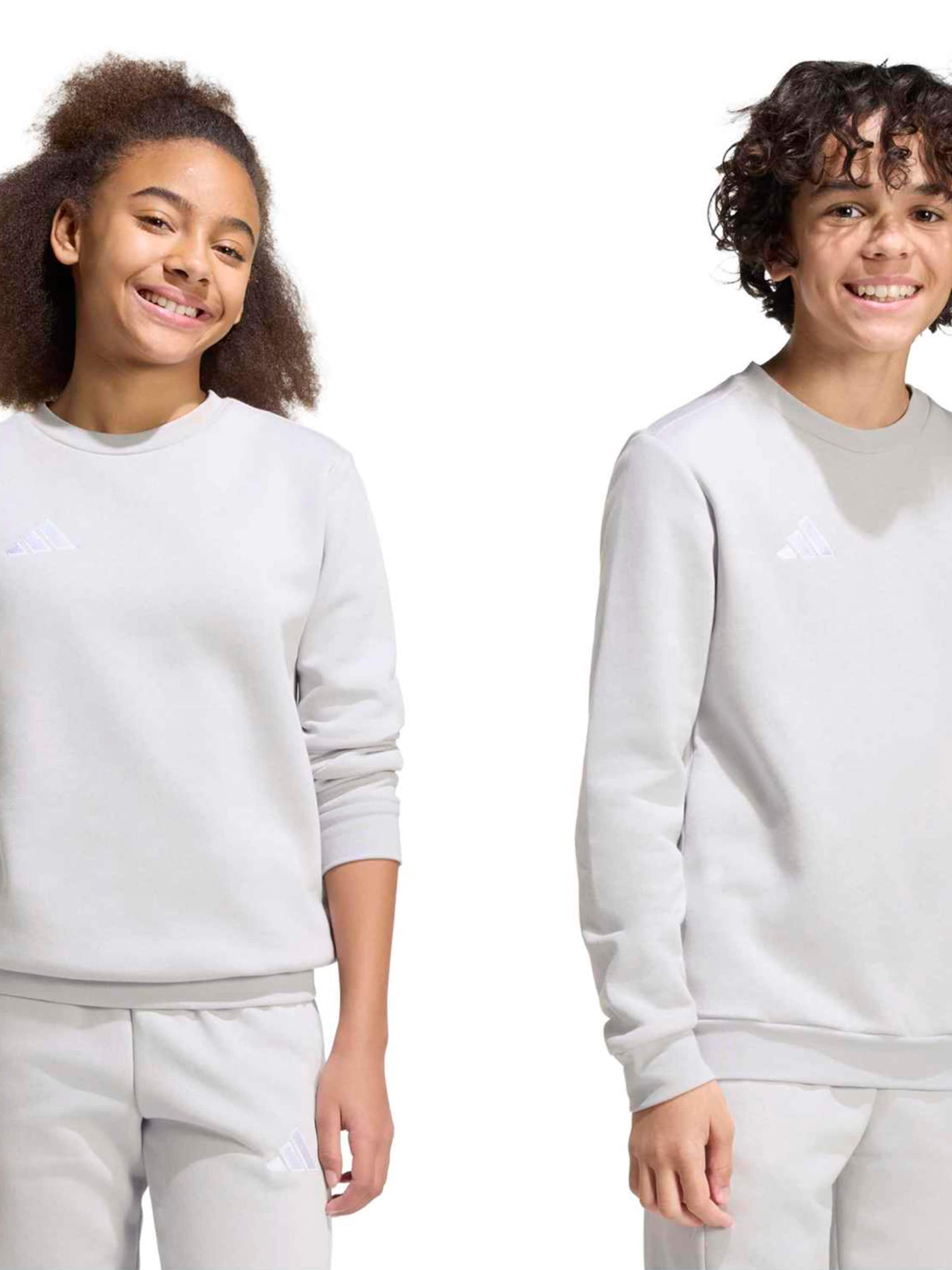 Hanorac sport 'ENT26' de la ADIDAS PERFORMANCE pe gri