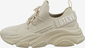 STEVE MADDEN Sneaker in Beige