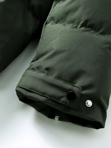 ALLTHEMEN Winter Coat 'Flaum' in Green