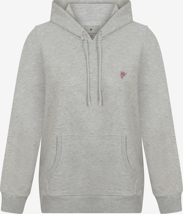 DENIM CULTURE - Sudadera 'Zenaida' en gris: frente