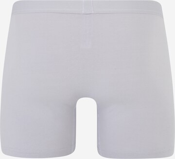 SLOGGI Boxer shorts 'GO ABC 2.0' in Grey