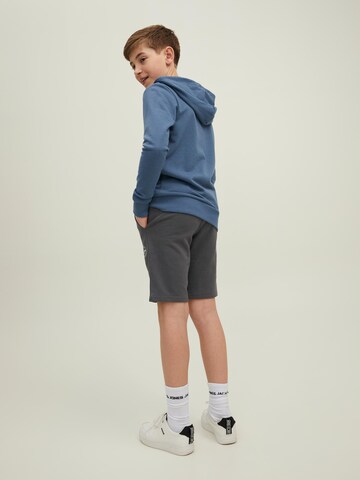 Jack & Jones Junior - Regular Calças 'Shark' em cinzento