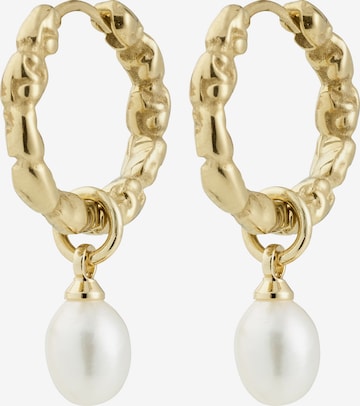 Pilgrim Korvakoru 'Shift' värissä kulta: etupuoli