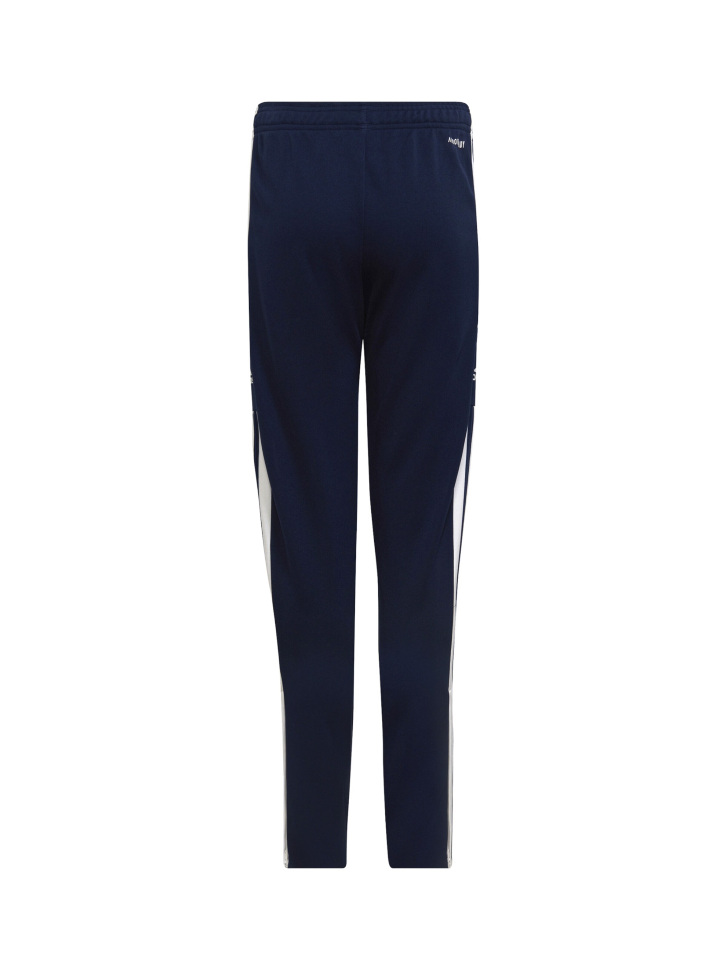 ADIDAS PERFORMANCE Regular Workout Pants 'Squadra' in Blue