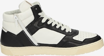 SIOUX Sneakers hoog 'Tedroso-705' in Zwart