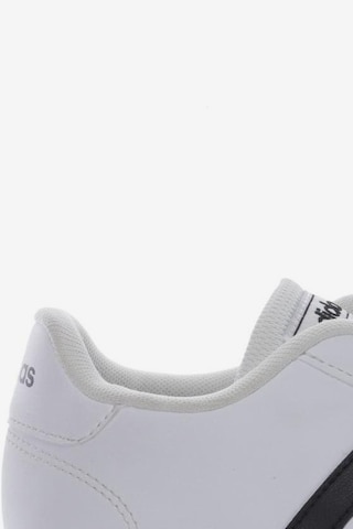 ADIDAS PERFORMANCE Sneakers & Trainers in 38,5 in White