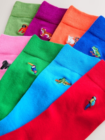 Chaussettes Next en bleu