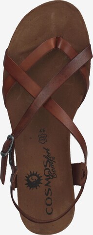 COSMOS COMFORT Strap Sandals in Brown