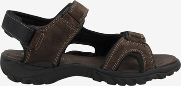 Dockers by Gerli Hiking Sandals in Brown