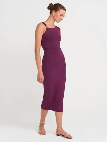 Dilvin Dress in Purple