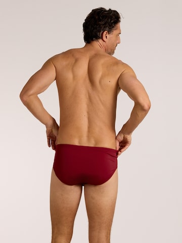 wavebreaker Swim Trunks in Red