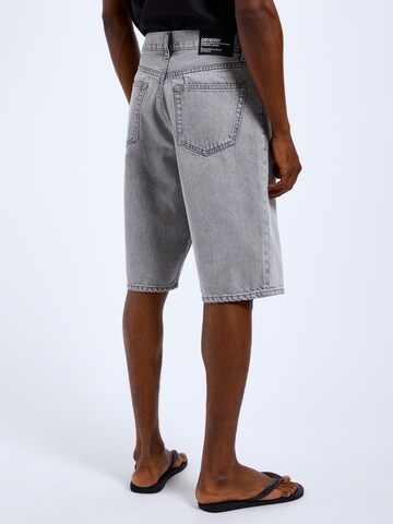 Dr. Denim Loose fit Jeans 'Omar' in Grey