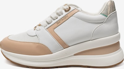 Gattinoni Sneaker in sand / grün / offwhite, Produktansicht