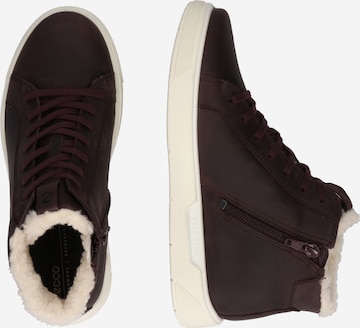 ECCO Sneakers in Brown