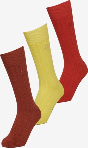 Chaussettes Superdry en mélange de couleurs : devant