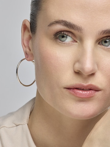 Orecchini 'Dierax' di Luxenter in argento