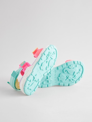 Sandalo di Next in rosa