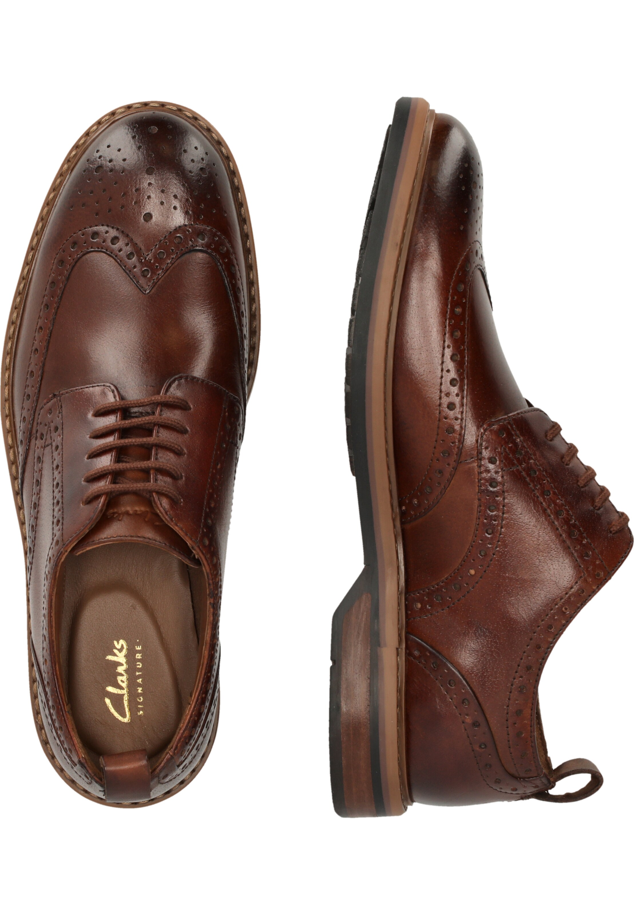 CLARKS Lace-Up Shoes 'Aldwin Limit' in Brown