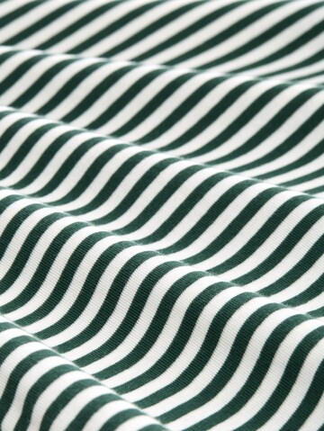 TOM TAILOR T-Shirt in Grün