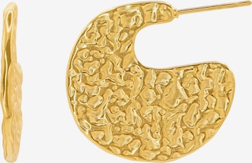 Heideman Earrings 'Paulus ' in Gold