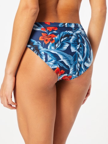 Superdry Bikinibroek in Blauw