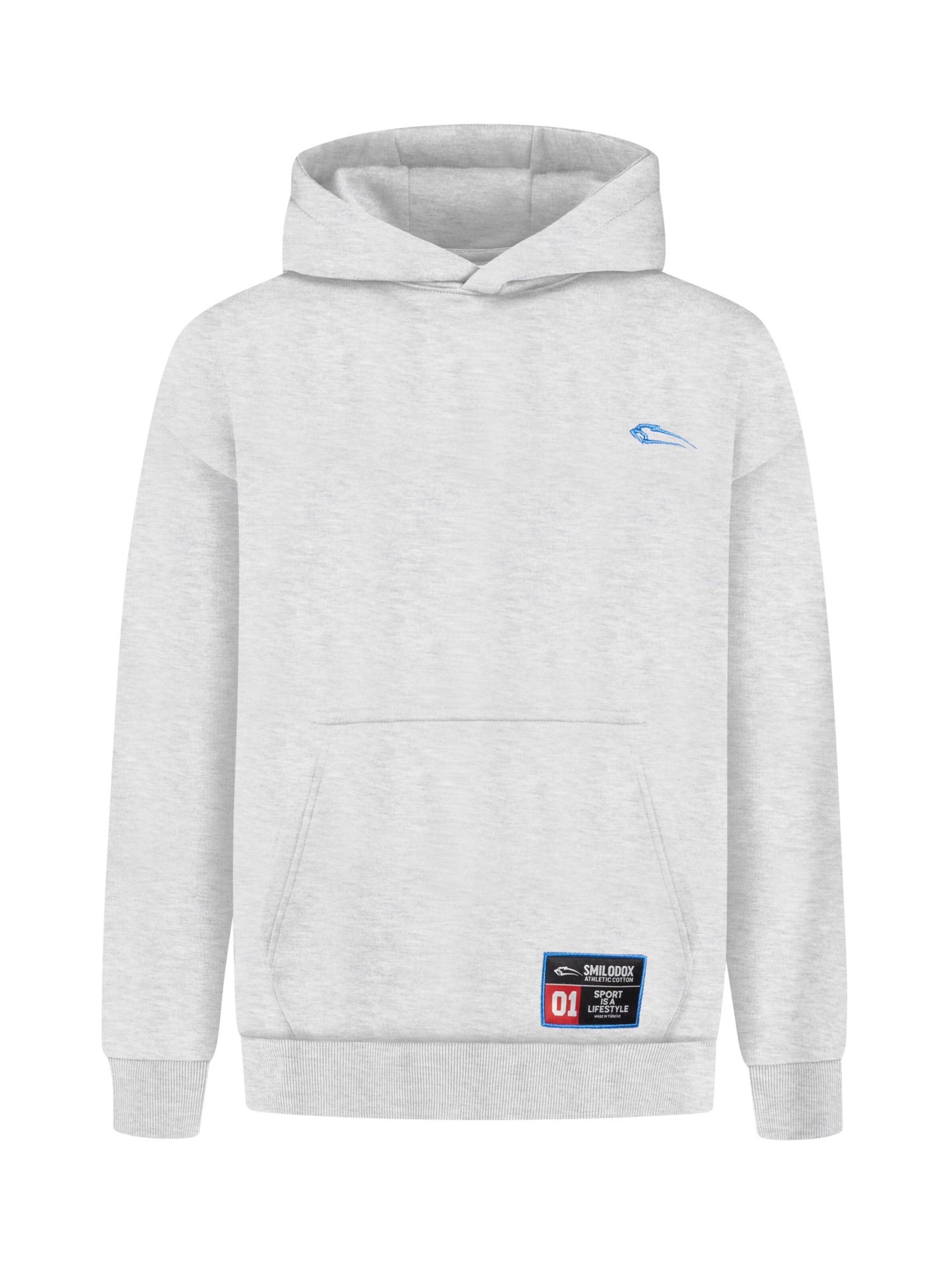 Smilodox Sweatshirt in Grey: front