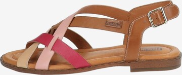 PIKOLINOS Sandalen met riem in Gemengde kleuren