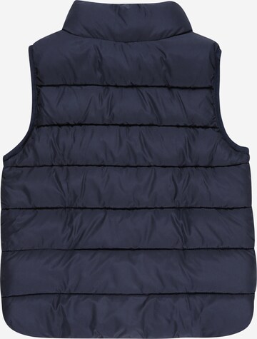 GAP Vest in Blue